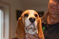 Afb_20171112_george (12)